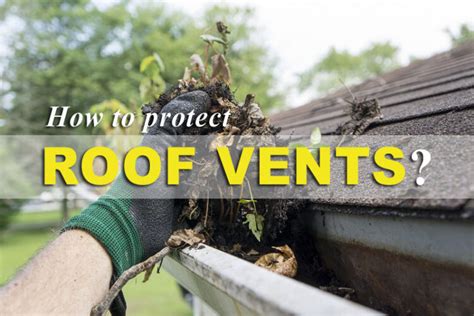 protect  roof vents  wildlife