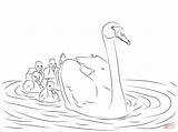 Swan Coloring Pages Cygnet Cygnets Babies Mute Printable Color Swans Drawing Baby Template Drawings Pond sketch template