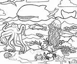 Ocean Coloring Life Pages Print Kids Color sketch template