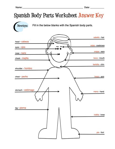 Spanish Body Parts Label Worksheet And Answer Key Made By Teachers