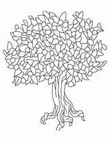Tree Coloring State Peach Pages Alabama Fruit Trees Oak Drawing Printable Outline Colorings Bare Getdrawings Color Getcolorings sketch template
