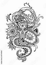 Snake Skull Adults Illustration Slang Schedel Skeleton Kleurplaten Drawn Kleurplaat Catcher sketch template