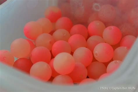case  fishing beads sfm blog
