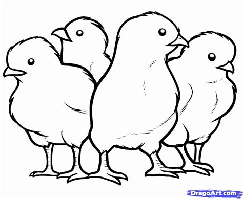 printable chicken coloring pages coloring home