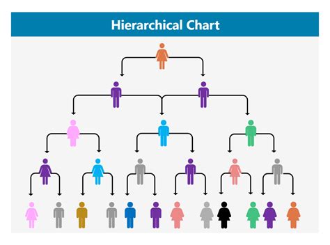 hierarchical chart edrawmax templates