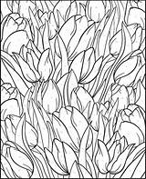 Color Number Coloring Pages Paint Creative Numbers Haven Adults Adult Floral Flower Dover Designs Flowers Printable Publications Tulip Drawing Books sketch template