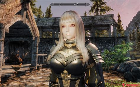 does anyone know what armor this is request and find skyrim non