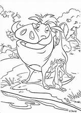 Leeuwenkoning Pumba Coloriage Timon Roi Leone Pumbaa Colorat Fun Animation Coloriages Planse Tekeningen Sheets Simba Hellokids Gnous sketch template