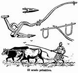 Arado Bueyes Arar Aguijón Agricultura Cultivo Grano sketch template