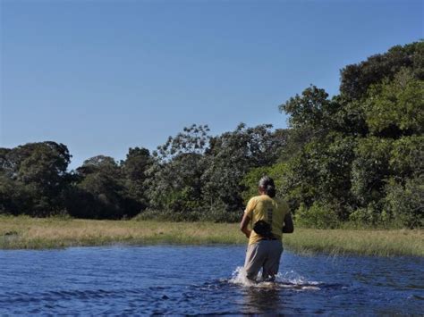 explore pantanal day tours miranda atualizado 2019 o que saber antes de ir sobre o que