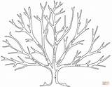 Tree Bare Coloring Printable Pages Leaves Template Trees Outline Without Drawing Para Family Supercoloring Crafts Silhouette Fall Templates Kale Patterns sketch template