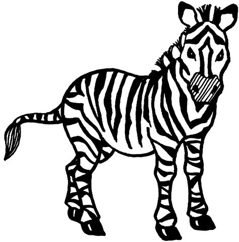 zebra animals  printable coloring pages
