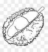Durian Mewarnai Mooncake Transprent Pancake sketch template