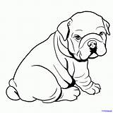 Coloring Bulldog Pages Printable Kids Adults Print sketch template