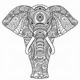 Elefante Mandalas Elefantes Animales Elefant Astinta Ausdrucken Olifant Ausmalbild Schwer Come Kleurplaten Fotobehang Saludo Hermosa Marco Elefanten Hizo Perfectas Volwassenen sketch template