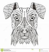 Schnauzer Zentangle Dog Pages Coloring Dogs Head Adult Outline Animal Colouring Mandalas Vector Illustration Stylized Choose Board Doodle sketch template