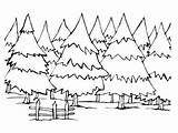 Coloring Trees Pages Forest Pine Tree Winter Landscape Energy Evergreen Drawing Habitat Redwood Save Snowy Coloring4free Resources Natural Sheets Colouring sketch template