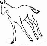 Galloping sketch template
