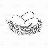 Nest Drawing Bird Vector Eggs Egg Line Basket Clip Birds Drawings Illustration Isolated Illustrations Linear Getdrawings Royalty Paintingvalley sketch template