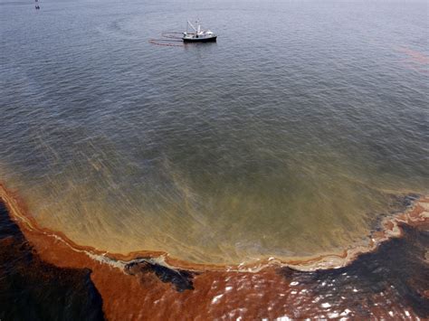 anniversary   deepwater horizon oil spill