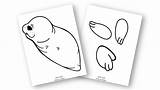 Seal Harp Craft Printable Template Arctic Kids Project Preschoolers Animal Simple sketch template