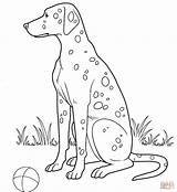 Coloring Dalmatian Pages Dog Color Printable Dogs Supercoloring Super Designlooter Version Click sketch template