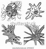 Protozoa Decorative Each Stock Vector Layer Own Shutterstock Search Illustrations sketch template