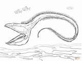 Eel Ausmalbild Ausmalbilder Gulper Viper Tiefseefische Fishes Kategorien sketch template