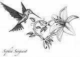 Drawing Flowers Hummingbird Tattoo Flower Drawings Lily Tattoos Hummingbirds Line Designs Sketch Tiger Sketches Vine Bird Humming Freestyle Explore Lillies sketch template