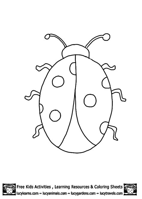 ladybug outline template printables early childhood templates pin