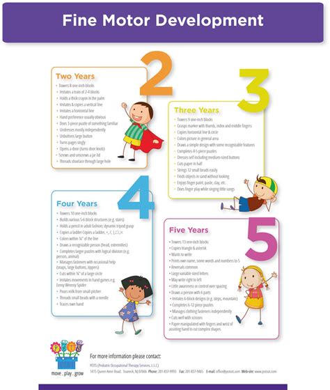 fine motor development infographic