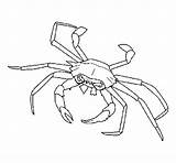 Crab Coloring Sea Colorear Coloringcrew sketch template