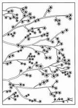 Cerisier Japonais Japon Albero Coloriages Colorare Kirsche Disegni Fleur Giappone Adultes Adulti Joli Ciliegio Justcolor Difficiles Suivant sketch template