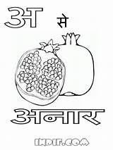 Alphabets Letter Anar Punjabi Indif Kirti Bhatnagar sketch template