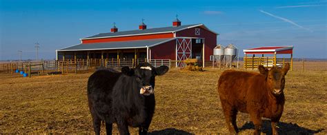 Livestock Buildings Metal Livestock And Cattle Barns