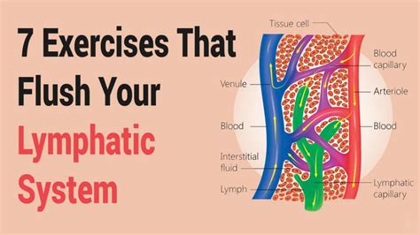 7 exercises that flush your lymphatic system