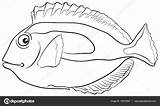 Tang Blue Fish Coloring Template Pages sketch template