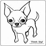 Coloring Pages Chihuahua Chiwawa Getdrawings Dog Drawing sketch template