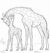 Giraffe Coloring Baby Mother Pages Drawing Giraffes Outline Printable Supercoloring Animals Color Colouring Cute Drawings Animal Sheets Sheet Adult Book sketch template