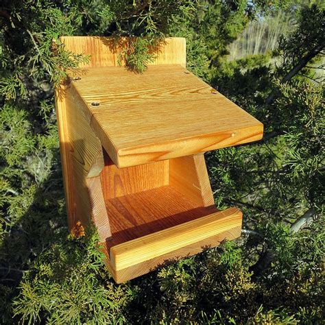robin mourning dove swallow nest box reclaimed cedar nesting boxes mourning dove dove