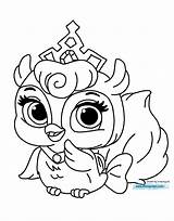 Pets Palace Coloring Pages Pet Disney Princess Puppy Drawing Printable Fern Print Color Book Owl Aurora Kids Cartoons Animals Treasure sketch template