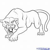 Coloring Pages Panther Getcolorings sketch template