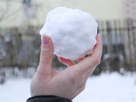 ways    snowball wikihow