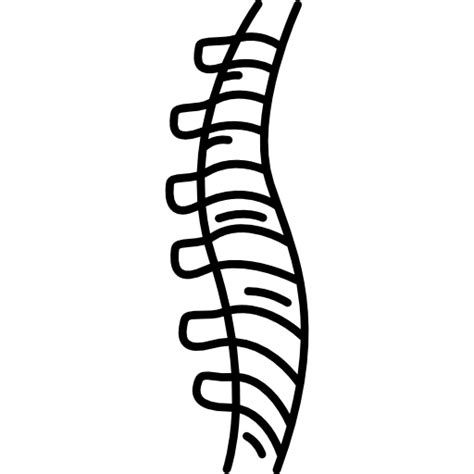 Human Spine Icons Free Download