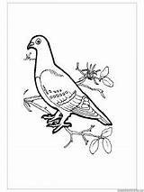 Swallow Coloring Pages Kid Kids sketch template