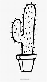 Prickly Pear Cacto Pinpng Kindpng Pinclipart sketch template