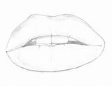 Lip Sketch Deviantart sketch template