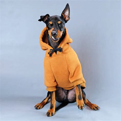 dog socks dog jackets sweaters    dog    warm
