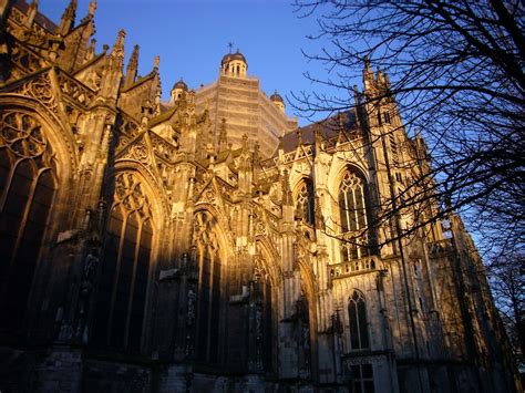 den bosch  netherlands nederland kathedraal kerken
