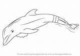 Step Draw Dolphin Winter Drawing Mammals Drawings Marine Paintingvalley Learn Tutorial Animals Tutorials Drawingtutorials101 sketch template